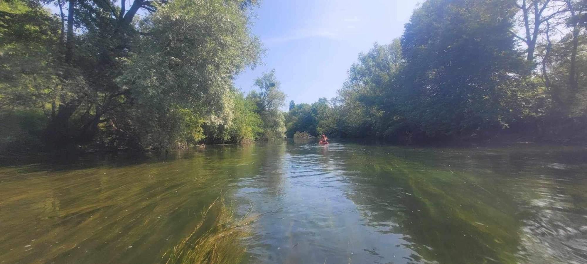 Detente A Sorques Montigny-sur-Loing Exteriör bild